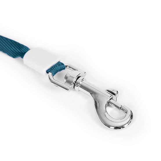 Automatische Hundeleine oder Katzenleine mit Blockierung, 3m