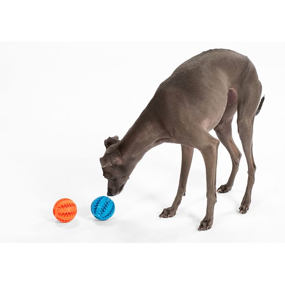 Beißball für Hunde Blau PJ-039
