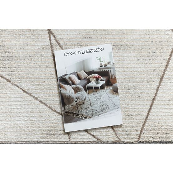 BLISS Z201Z128 Teppich Creme / Beige - Rahmen, geometrisch, modern, strukturell