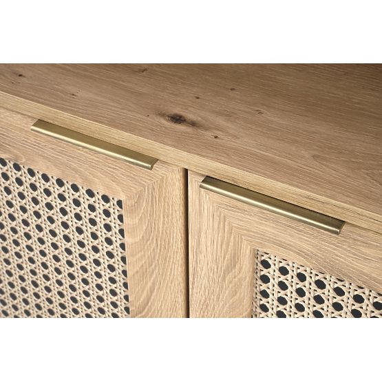 BORNEO REG-1 Regal Eiche Artisan/Schwarz (2p=1 Stk)