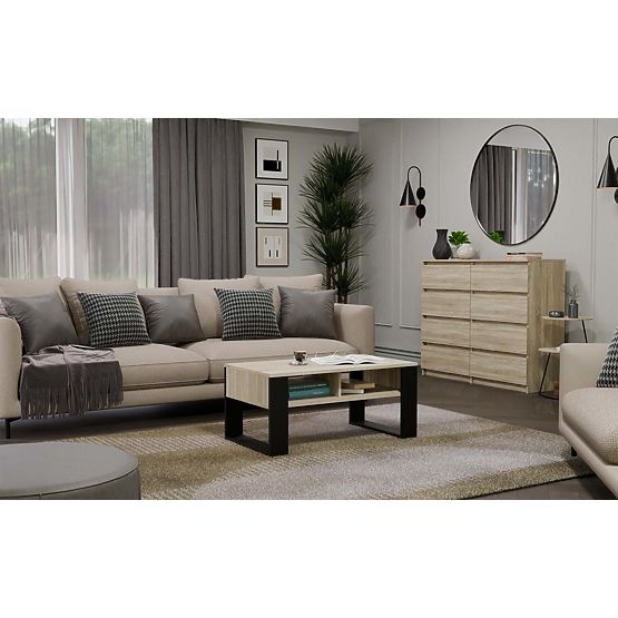 Couchtisch Modern 2P EICHE SONOMA SCHWARZ