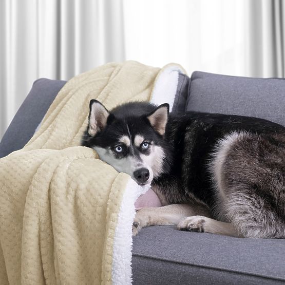 Decke SHLEEPY Farbe Beige jacquardgewebt klassischer Stil 130x180