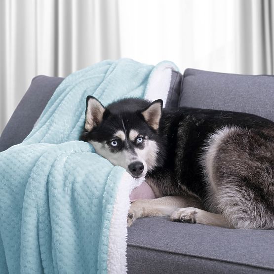 Decke SHLEEPY Farbe Hellblau Jacquardmuster klassischer Stil 70x150