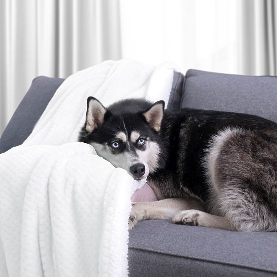 Decke SHLEEPY Farbe Weiß jacquardgeprägt klassischer Stil 170x210