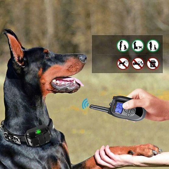 ELEKTRISCHES TRAININGSHALSBAND FÜR HUNDE pj-098