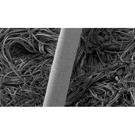 Evolutionsdecke - 140x200 cm