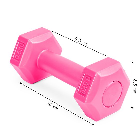 Fitness Hantelset Gewichte 2x 0,5 kg