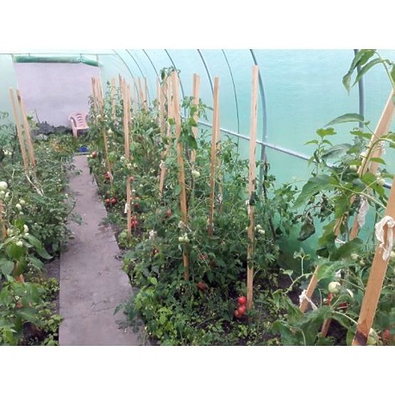 Folientunnel - Gartengewächshaus - 3x6 m