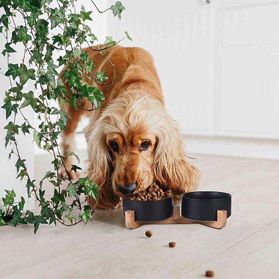 FUTTERNAPF UND WASSERSCHALE FÜR TIERE SCHWARZ 331579