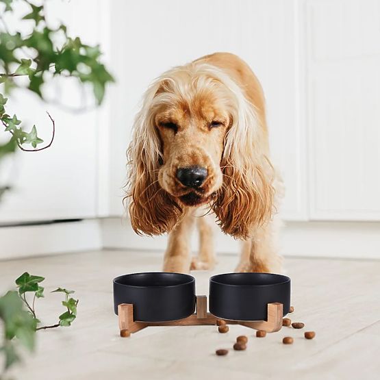 FUTTERNAPF UND WASSERSCHALE FÜR TIERE SCHWARZ 331579
