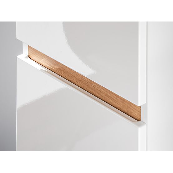 Hoher Schrank mit 2 Türen