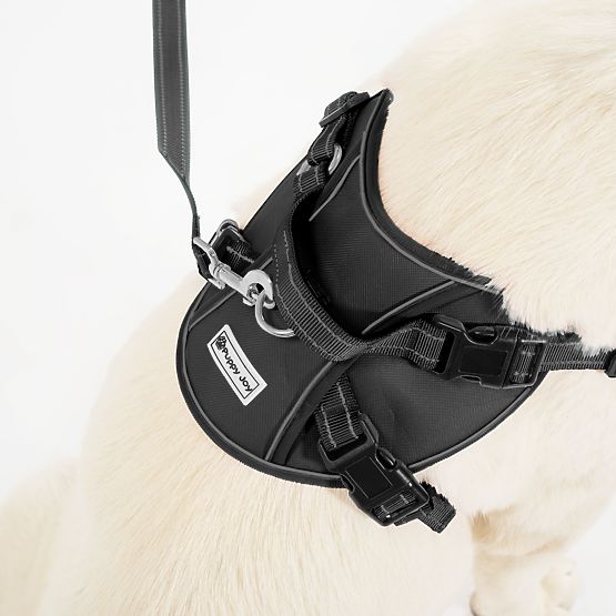 Hundeleine und Geschirr PJ-059 schwarz L