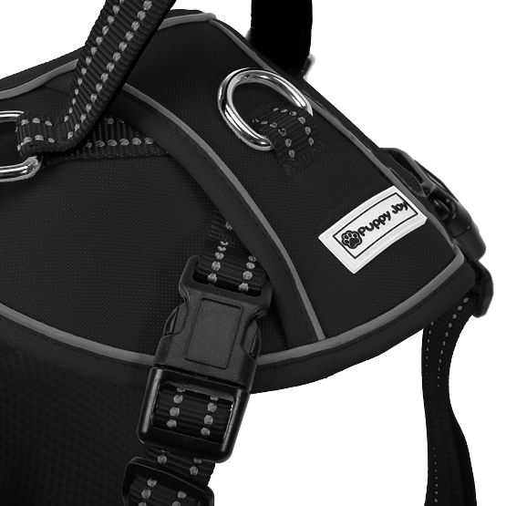 Hundeleine und Geschirr PJ-059 schwarz L