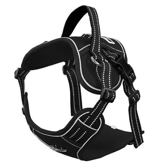 Hundeleine und Geschirr PJ-063 schwarz XL