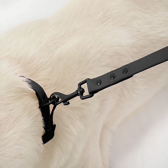 Hundeleine und Halsband PJ-067 schwarz S