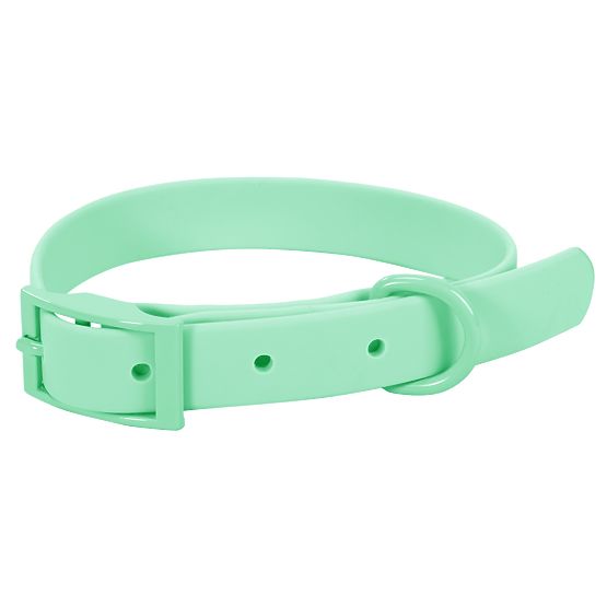 Hundeleine und Halsband PJ-069 grün S