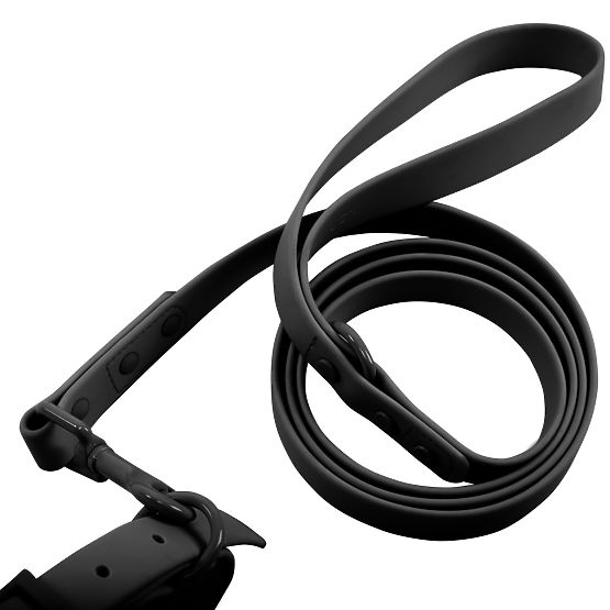 Hundeleine und Halsband PJ-071 schwarz M