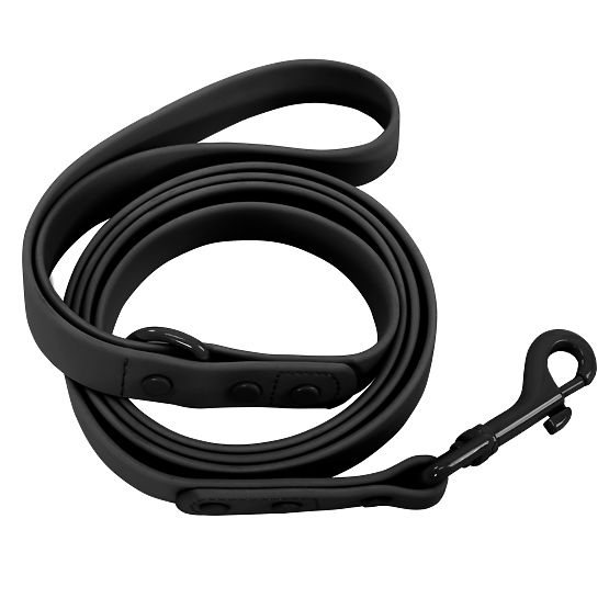 Hundeleine und Halsband PJ-071 schwarz M