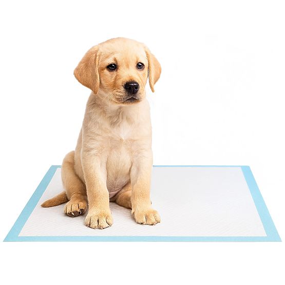 Hygienische Unterlagen für Tiere BARRY 50 Stk.