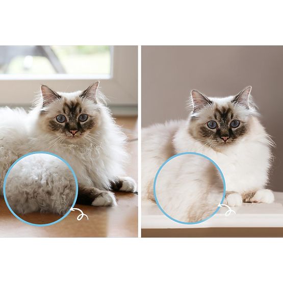 Kamm - professioneller Entwirrungsbürste PJ-040