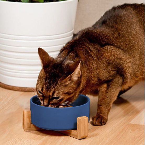 Keramiknapf für Hund oder Katze blau PJ-033