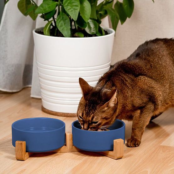 Keramikschalen für Hund oder Katze Blau PJ-080