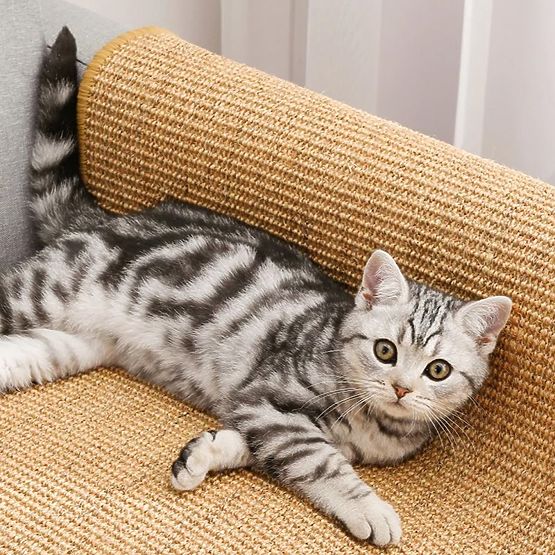 KRATZMATTE FÜR KATZEN 60x40cm 332494