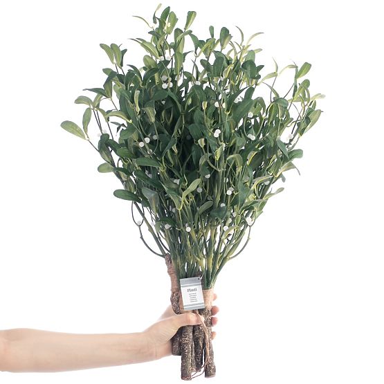 Kunstblume PLANTI Farbe Grün moderner Stil ameliahome