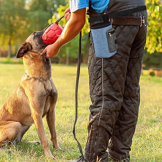 Leckerlitasche für Hunde MAILO blau
