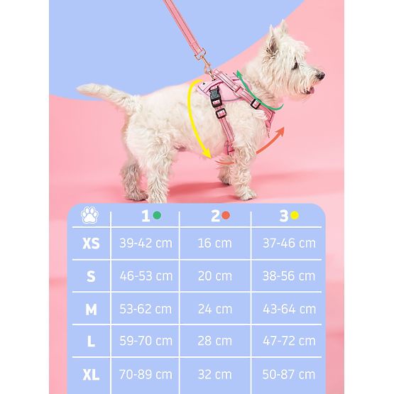 Leine und Geschirr für Hunde PJ-049 grün XS