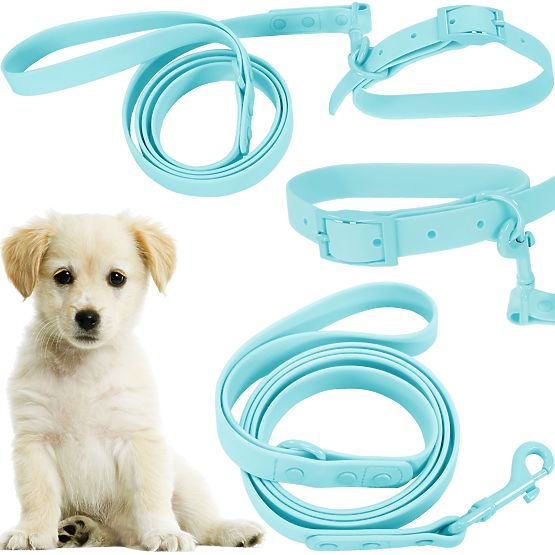 Leine und Halsband für Hund PJ-070 Blau S