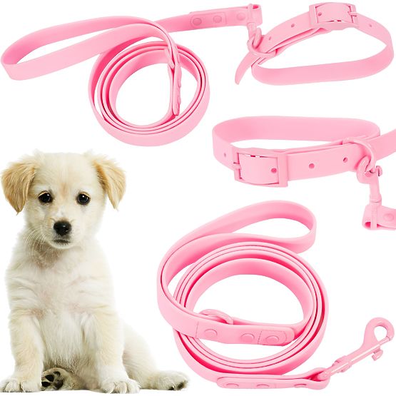Leine und Halsband für Hunde PJ-068 rosa S