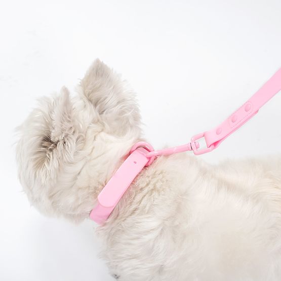 Leine und Halsband für Hunde PJ-068 rosa S