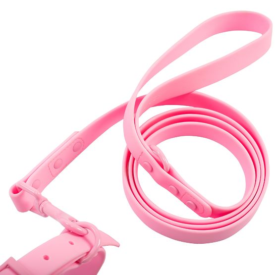 Leine und Halsband für Hunde PJ-068 rosa S