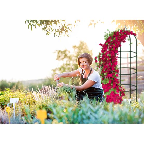 Metallpergola Pfosten dunkelgrün 190 cm