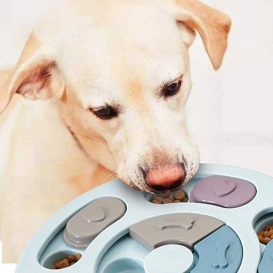 Puzzle-Spielzeug für Hunde und Katzen Pluto Meer