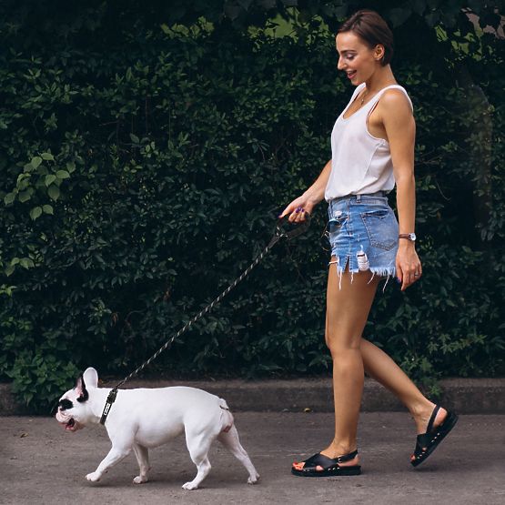 Reflektierende Hundeleine und Halsband PJ-091 schwarz