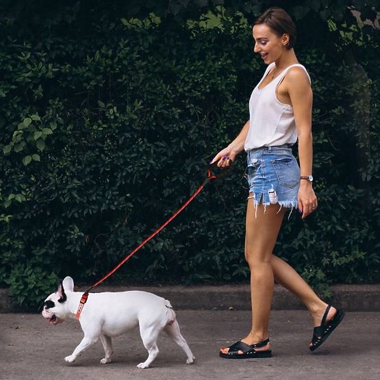 Reflektierendes Hundeleine und Halsband PJ-035 rot
