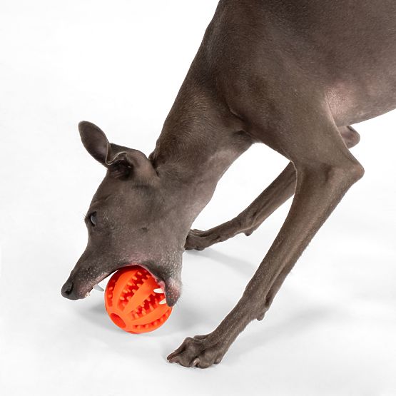 Roter Kauspielball für Hunde PJ-090