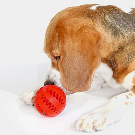 Roter Kauspielball für Hunde PJ-090