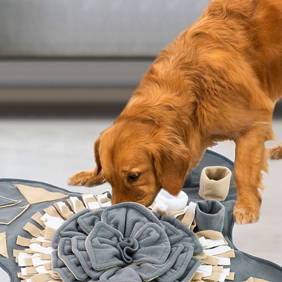 SCHNÜFFELMATTE FÜR HUNDE PJ-028