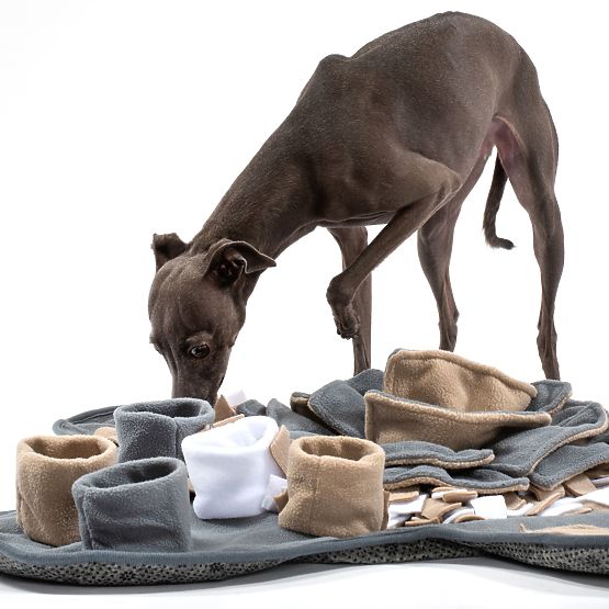SCHNÜFFELMATTE FÜR HUNDE PJ-028