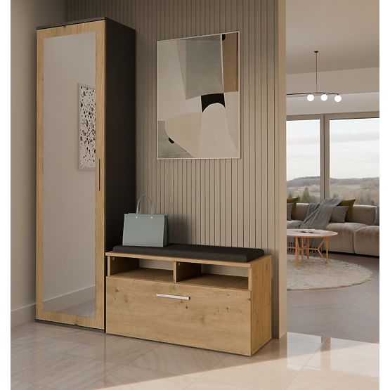 Schrank DUO ANTHRAZIT EICHE ARTISAN