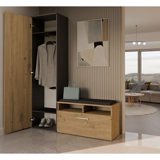 Schrank DUO ANTHRAZIT EICHE ARTISAN