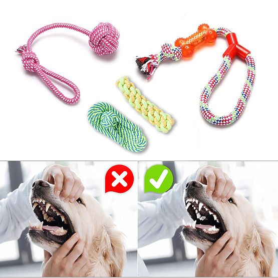 Set von 10 Hundespielzeugen DYLAN Zerrspielzeuge