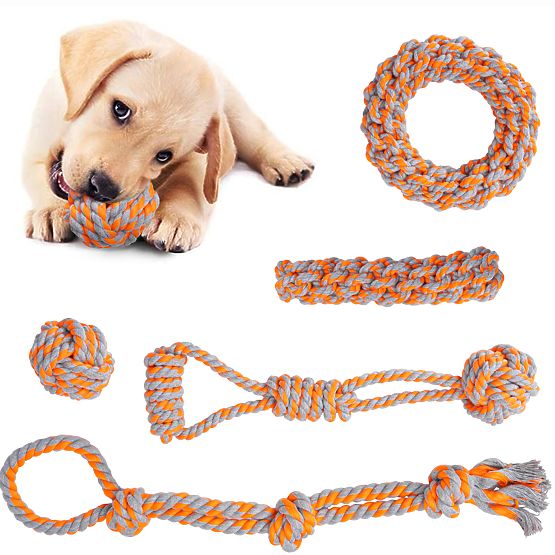 Set von Zerrspielzeugen für Hunde SPANKY 5 Stück