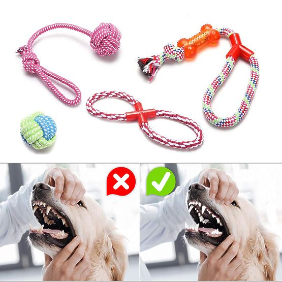 Set von Zerrspielzeugen für Hunde SPANKY 5 Stück