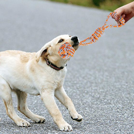 Set von Zerrspielzeugen für Hunde SPANKY 5 Stück