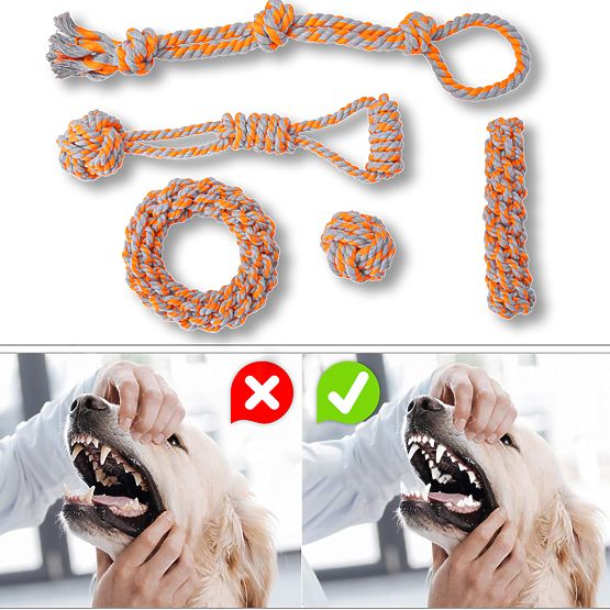 Set von Zerrspielzeugen für Hunde SPANKY 5 Stück