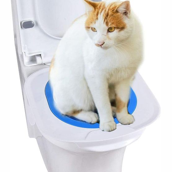 Toilettenaufsatz für Katzen NILS blau